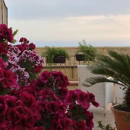 Portatenea - Atenea Collection 2* Αγκριτζέντο