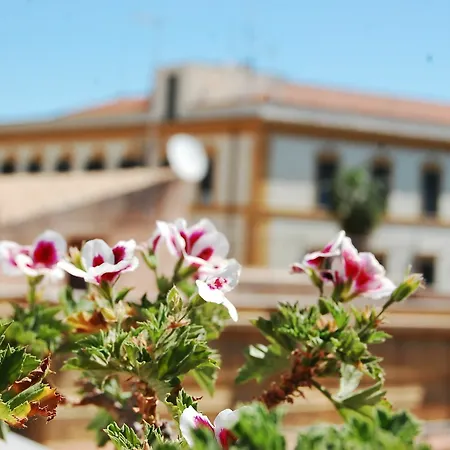 Portatenea - Atenea Collection Agrigente